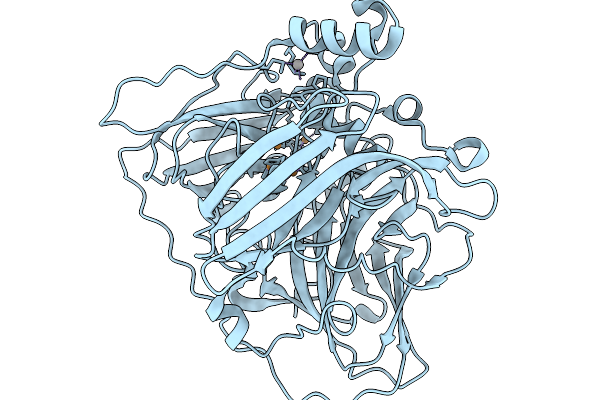 9RC5 image