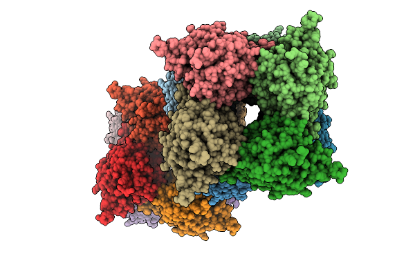 9RC7 image