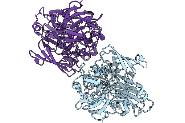 9RC8 image