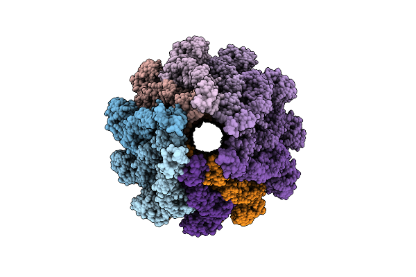 9RCD image