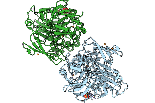 9RCJ image