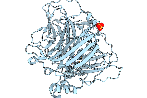 9RCM image