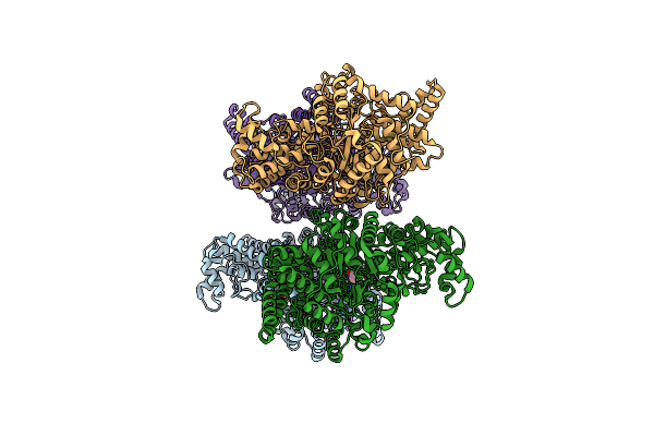 9RCP image