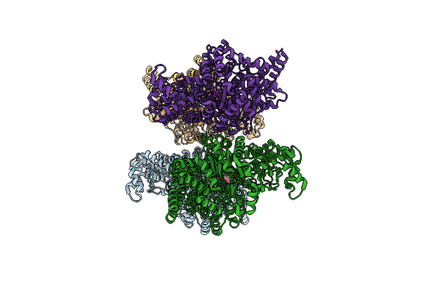 9RCR image