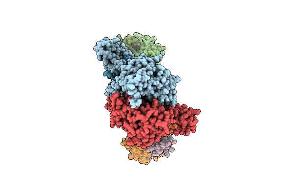 9RCV image