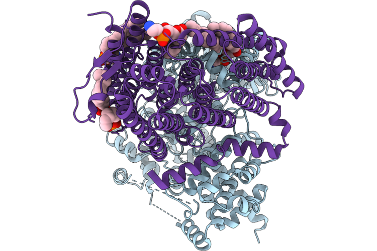 9RD8 image