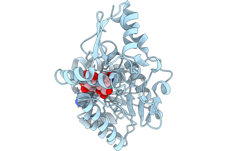 9RDD image