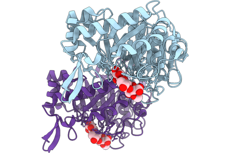 9RDG image