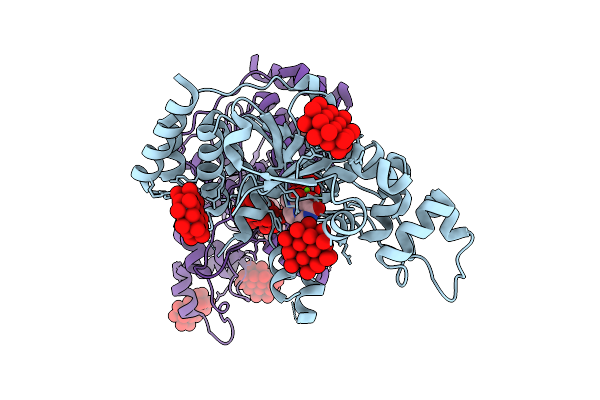 9RDI image