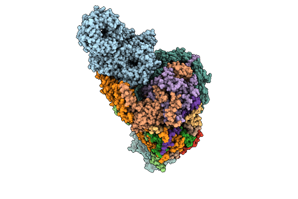 9RDK image