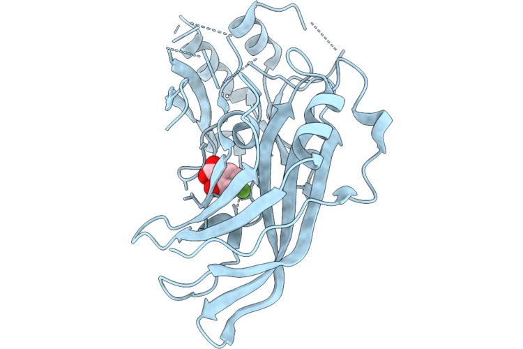 9RDL image