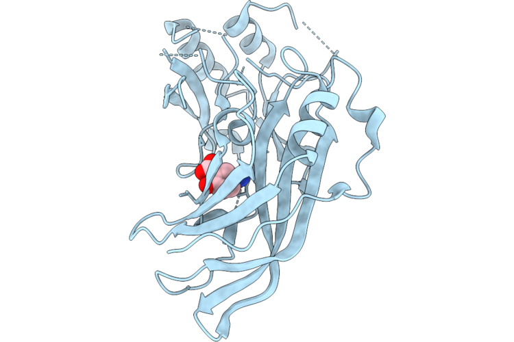9RDP image