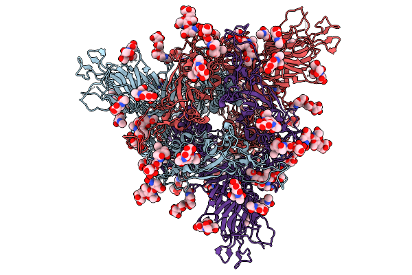 9RDT image