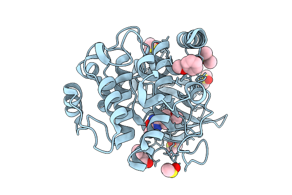 9RDW image