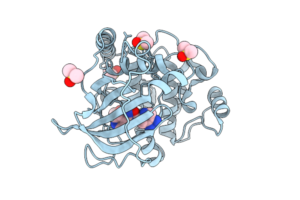 9RDX image