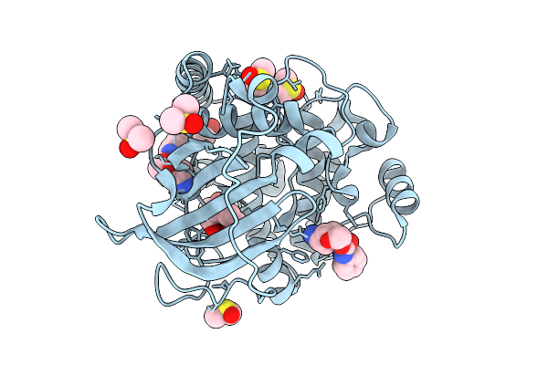 9RDZ image