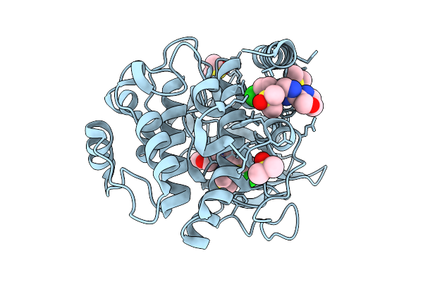9RE9 image