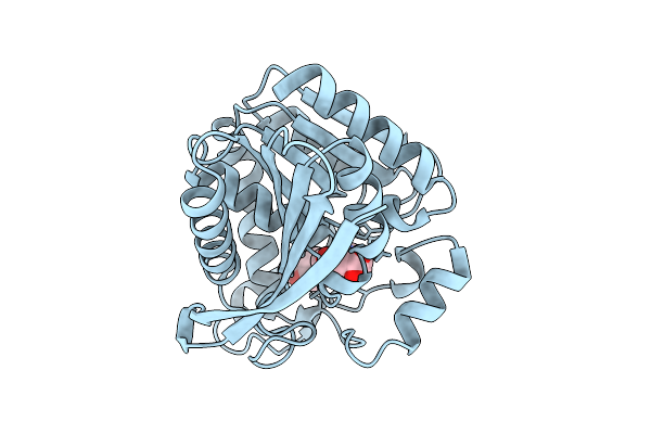 9RF2 image
