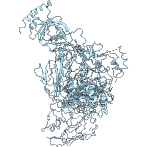 9RF3 image