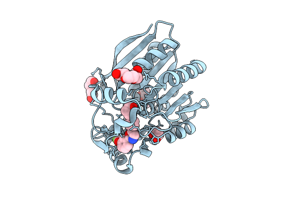 9RF5 image