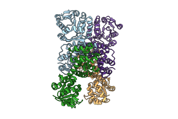 9RFA image