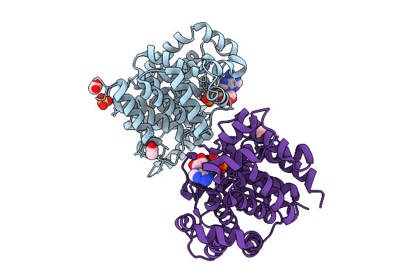 9RFD image