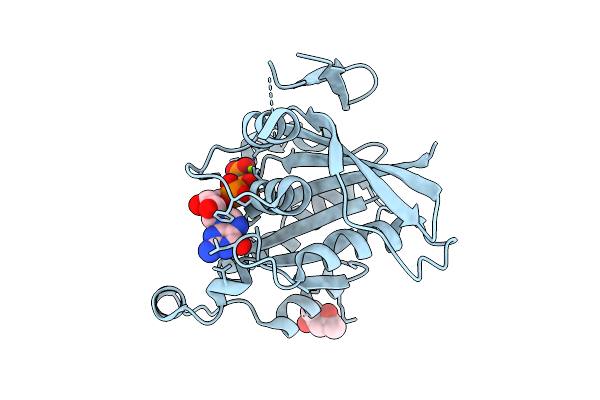9RFF image
