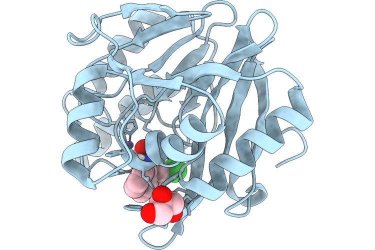 9RFG image