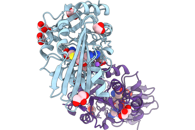 9RFR image