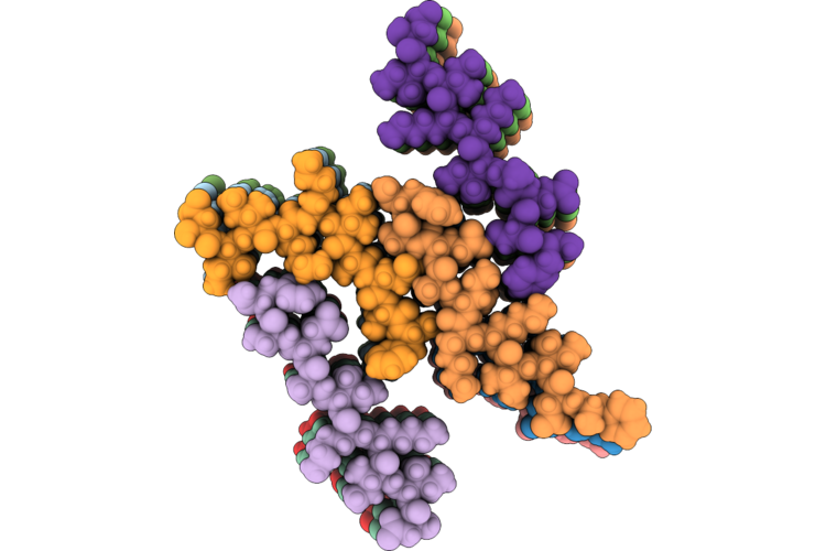9RFV image