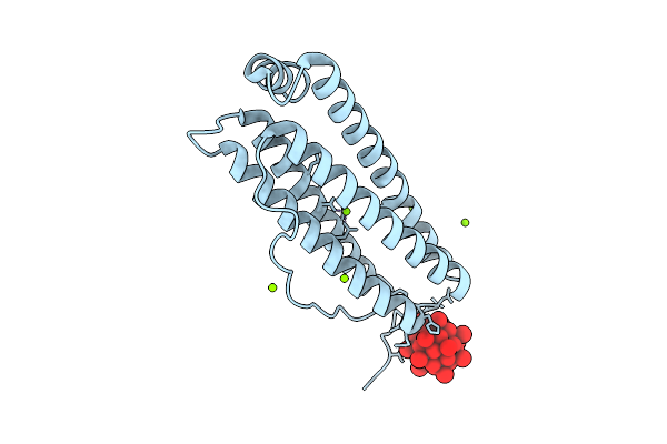 9RGH image