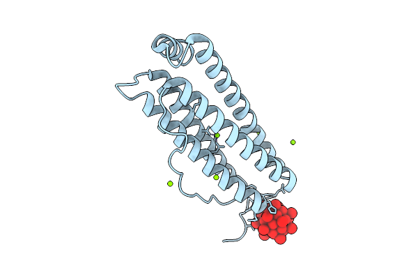 9RGI image