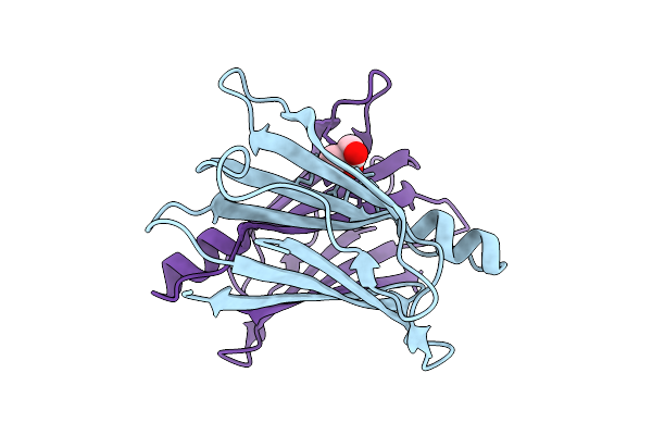 9RGK image