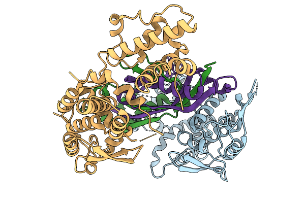 9RGL image