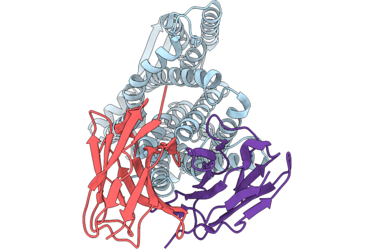 9RHA image