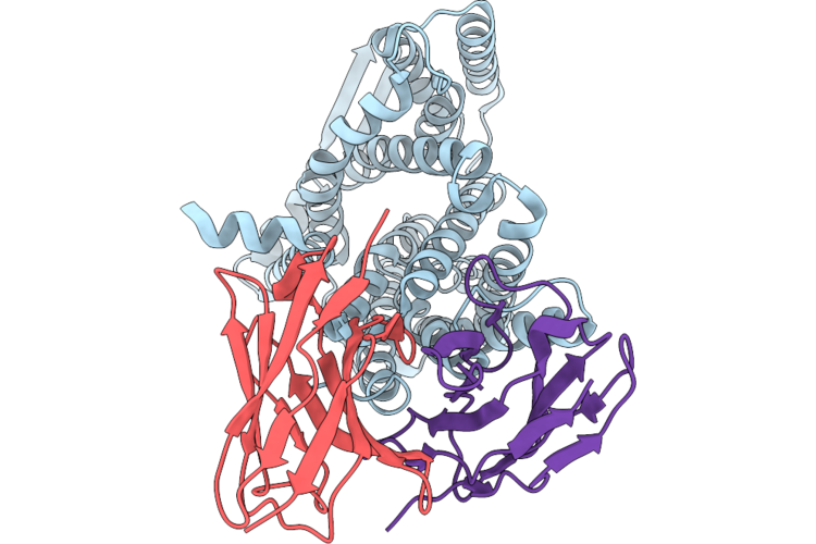 9RHB image