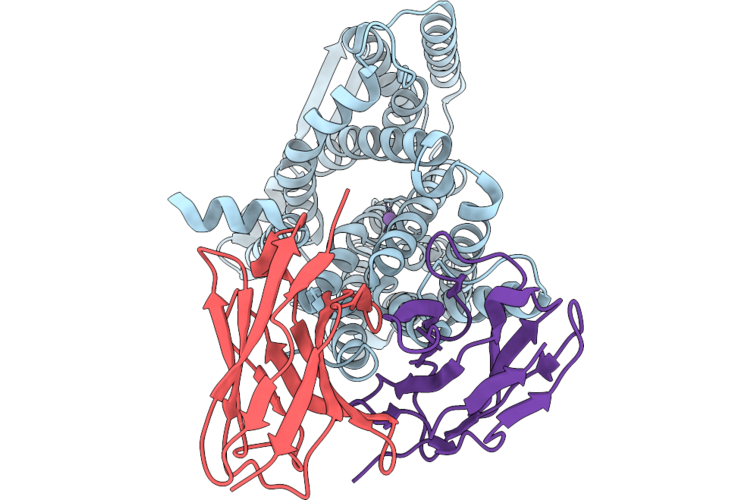 9RHF image