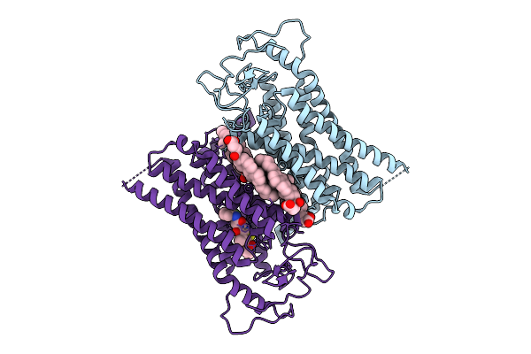 9RHG image