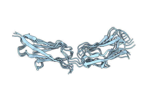 9RHK image