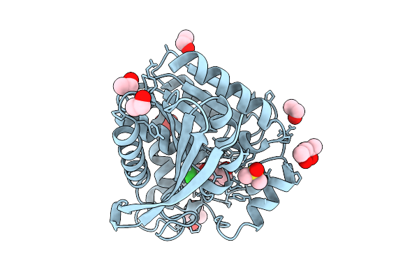 9RHW image