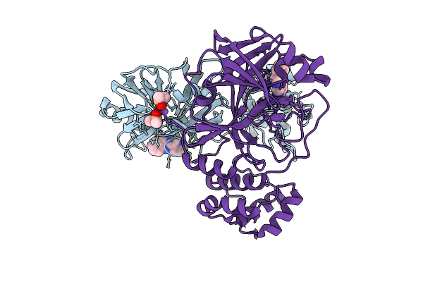 9RHX image