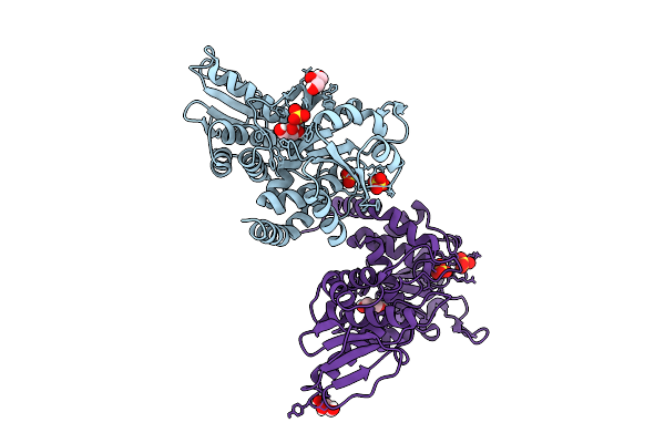 9RIB image