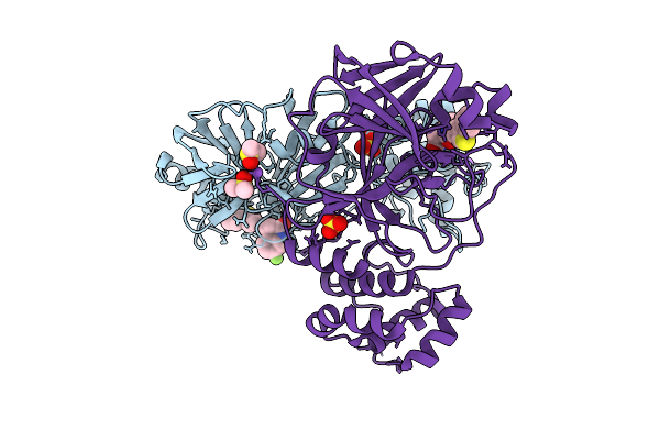9RIX image