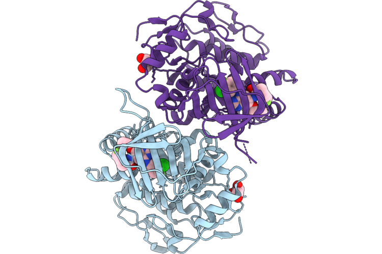 9RJ2 image