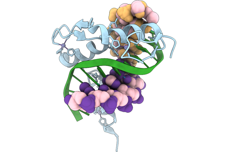 9RJ6 image