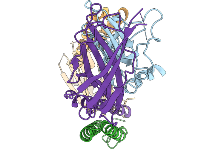 9RJC image