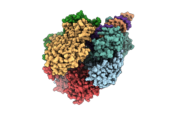9RJS image