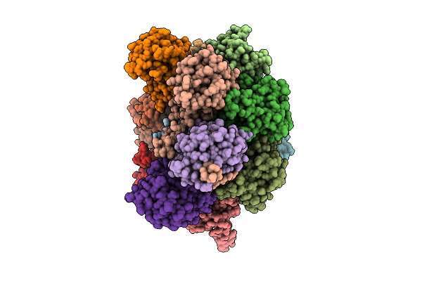 9RLA image