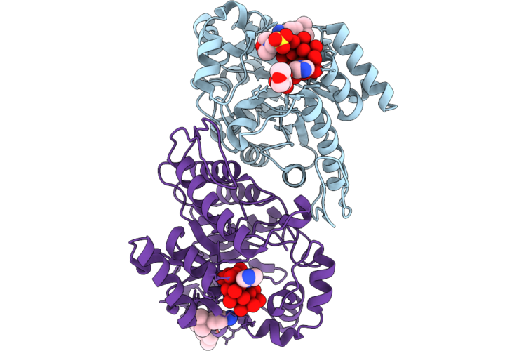 9RLB image