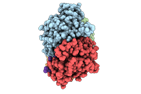 9RLF image